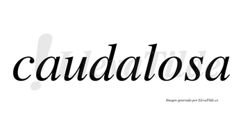 Caudalosa  no lleva tilde con vocal tónica en la «o»