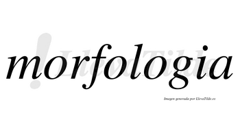 Morfologia no lleva tilde con vocal tónica en la tercera «o»