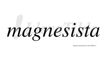 Magnesista  no lleva tilde con vocal tónica en la «i»