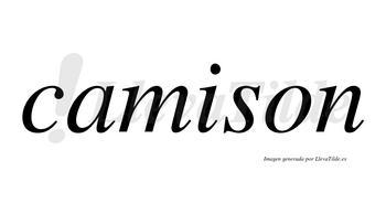 Camison no lleva tilde con vocal tónica en la «i»