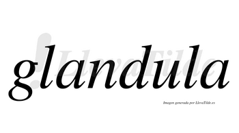Glandula  no lleva tilde con vocal tónica en la «u»
