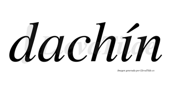 Dachín  lleva tilde con vocal tónica en la «i»