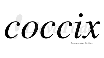 Coccix no lleva tilde con vocal tónica en la «i»