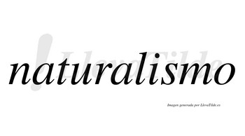 Naturalismo  no lleva tilde con vocal tónica en la «i»