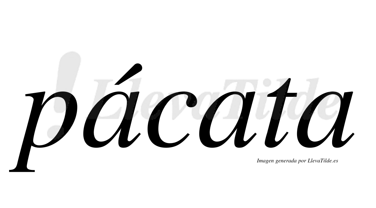 ¿Lleva tilde pácata? | LlevaTilde.es