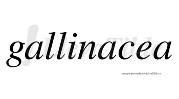 Gallinacea no lleva tilde con vocal tónica en la «e»