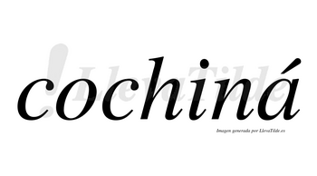 Cochiná lleva tilde con vocal tónica en la «a»