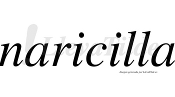 Naricilla no lleva tilde con vocal tónica en la segunda «i»