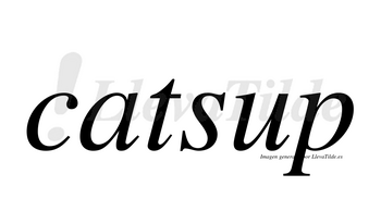 Catsup no lleva tilde con vocal tónica en la «u»