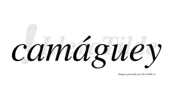 Camáguey  lleva tilde con vocal tónica en la segunda «a»