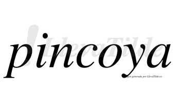 Pincoya  no lleva tilde con vocal tónica en la «o»