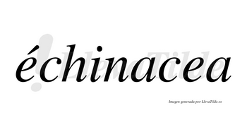 Échinacea lleva tilde con vocal tónica en la primera «e»