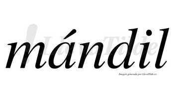 Mándil  lleva tilde con vocal tónica en la «a»