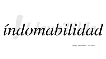 Índomabilidad  lleva tilde con vocal tónica en la primera «i»