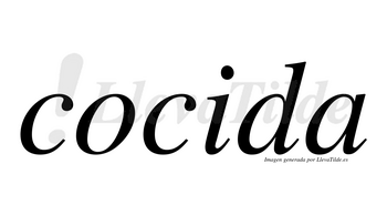 Cocida no lleva tilde con vocal tónica en la «i»