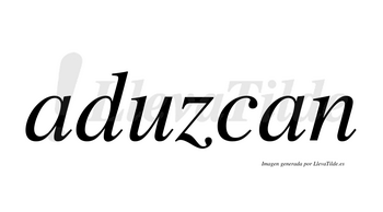 Aduzcan  no lleva tilde con vocal tónica en la «u»
