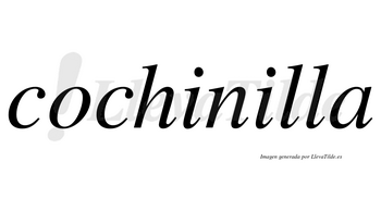 Cochinilla  no lleva tilde con vocal tónica en la segunda «i»