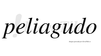 Peliagudo no lleva tilde con vocal tónica en la «u»