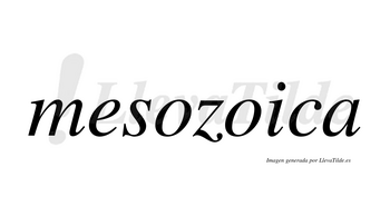 Mesozoica  no lleva tilde con vocal tónica en la segunda «o»