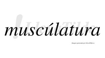 Muscúlatura lleva tilde con vocal tónica en la segunda «u»