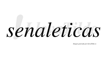Senaleticas no lleva tilde con vocal tónica en la «i»