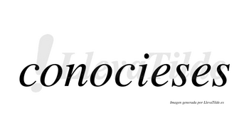 Conocieses no lleva tilde con vocal tónica en la primera «e»