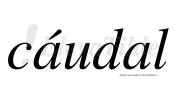 Cáudal  lleva tilde con vocal tónica en la primera «a»
