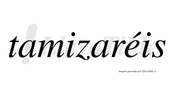 Tamizaréis  lleva tilde con vocal tónica en la «e»