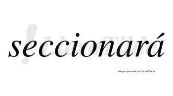 Seccionará  lleva tilde con vocal tónica en la segunda «a»