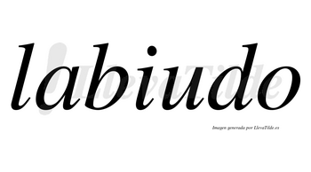 Labiudo no lleva tilde con vocal tónica en la «u»