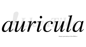 Auricula  no lleva tilde con vocal tónica en la segunda «u»