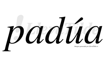 Padúa  lleva tilde con vocal tónica en la «u»