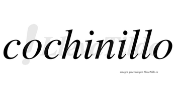 Cochinillo  no lleva tilde con vocal tónica en la segunda «i»